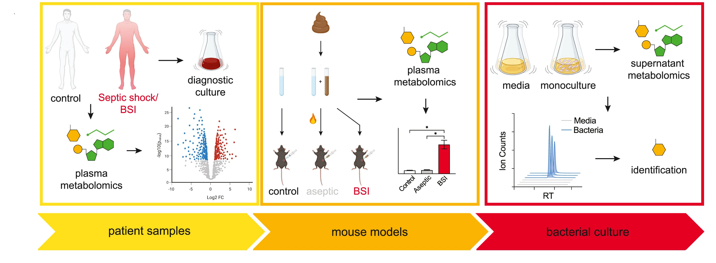 Open access visualization of Workflow, Volcano Plot, Bar Plot, Line Plot, Liquid Chromatography-Mass Spectrometry