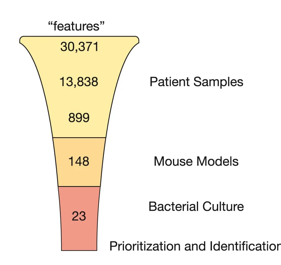 Open access visualization of Workflow, Illustration, Metabolomics, Features, Pipeline