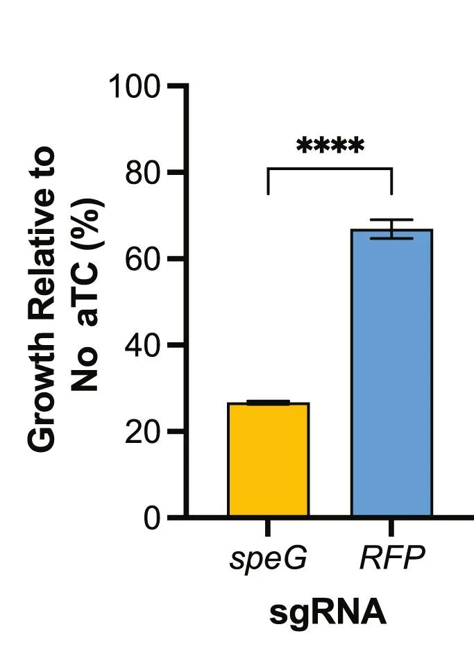 Open access visualization of Bar Plot, Error Bars, CRISPRi, speG, Growth