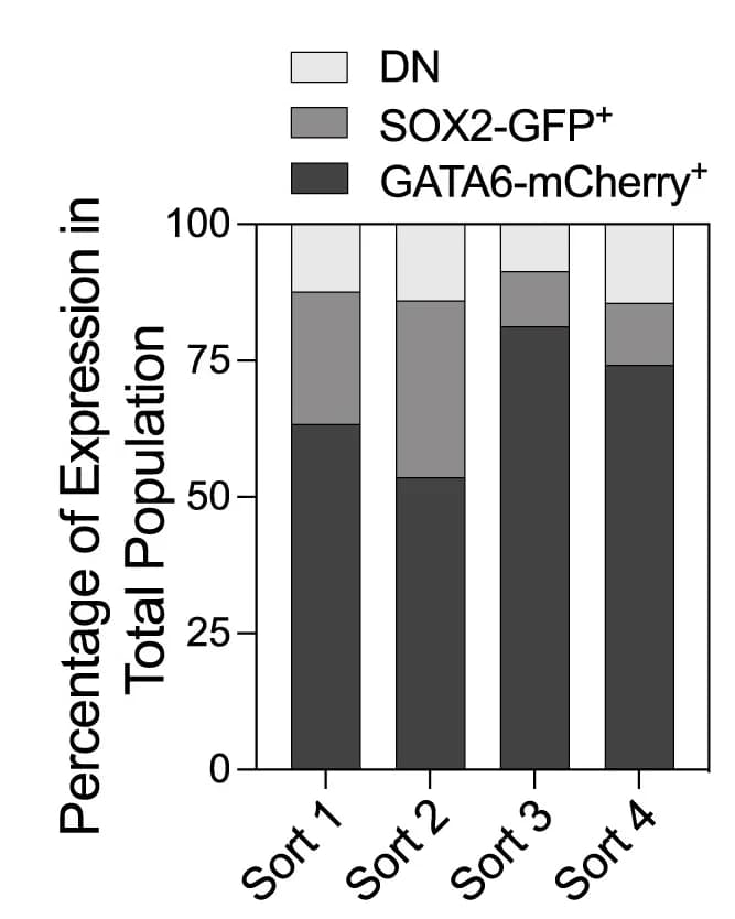 Open access visualization of Stacked Bar Plot, Quantification, SGGC nEnd, Subpopulations, FACS