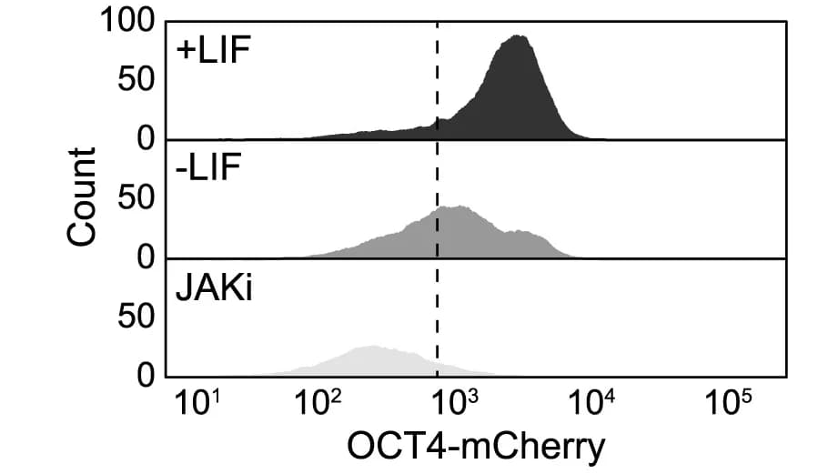 Open access visualization of Density Plot, Flow Cytometry, OCT4-mCherry Expression, nEnd, Control
