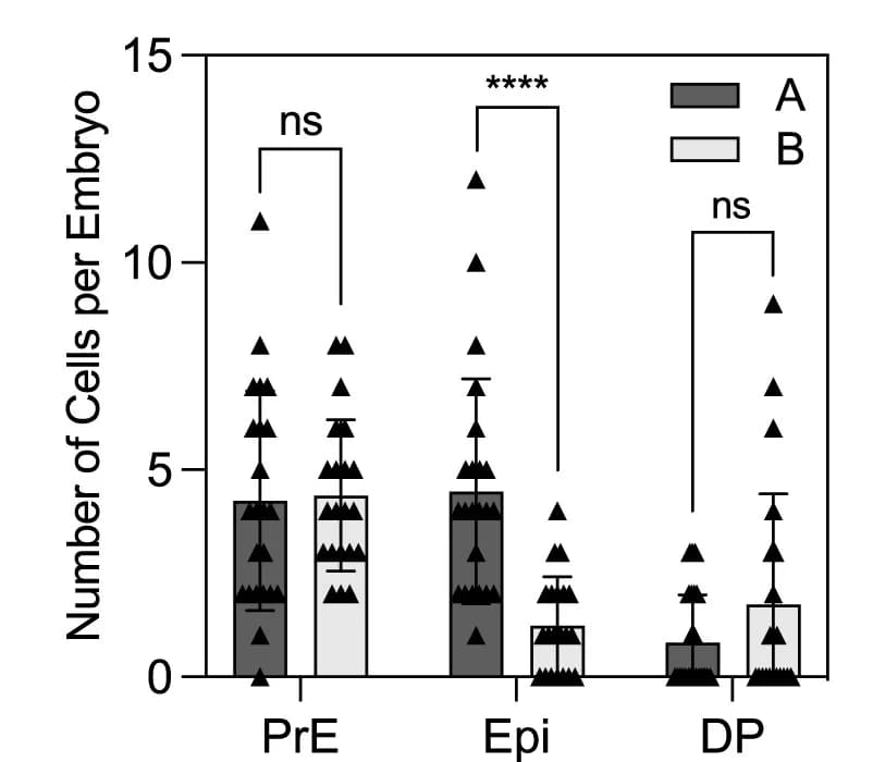 Open access visualization of Bar Plot, Error Bars, Clustered, ICM Lineage Allocation, Treated Embryos