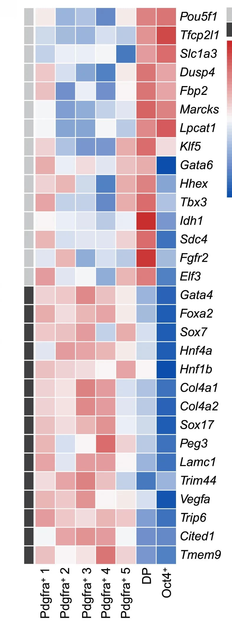 Open access visualization of Heatmap, Lineage Markers, log2normalized Clustered Data, Early PrEinvivo, Late PrEinvivo