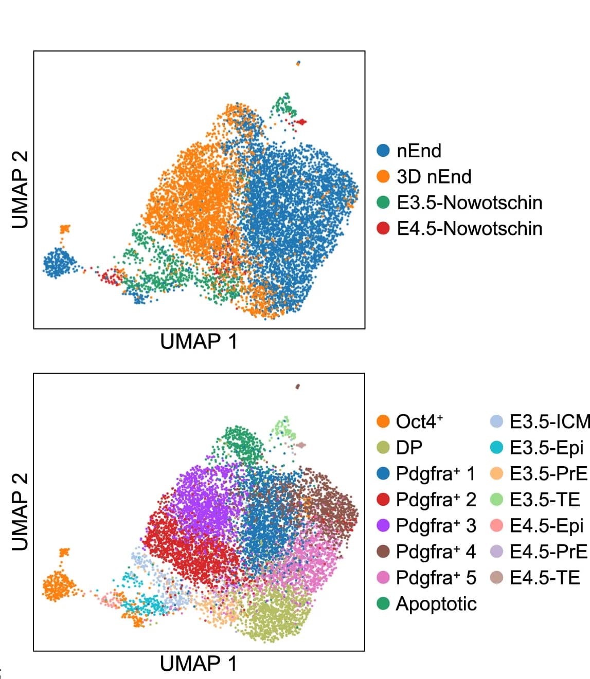 Open access visualization of UMAP, Scatter Plot, nEnd, 3D nEnd, In Vivo