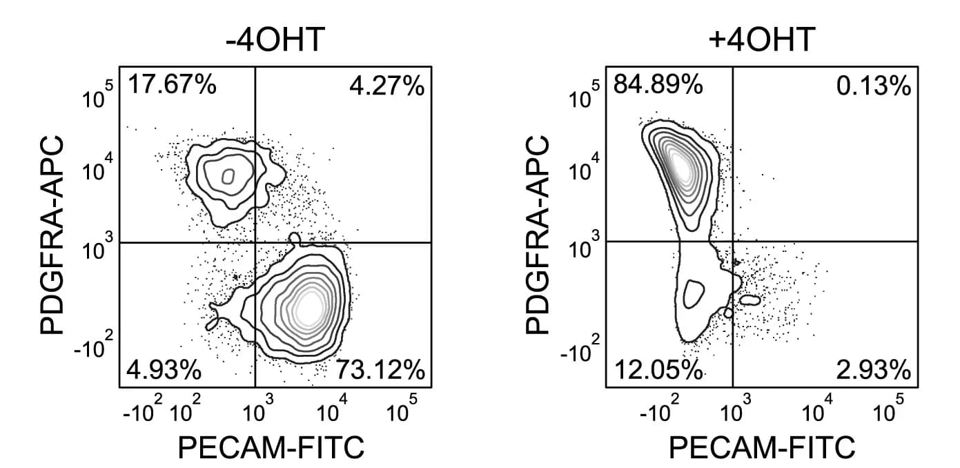 Open access visualization of Scatter Plot, Flow Cytometry, Oct4LOFnEnd, 4OHT, PECAM-FITC