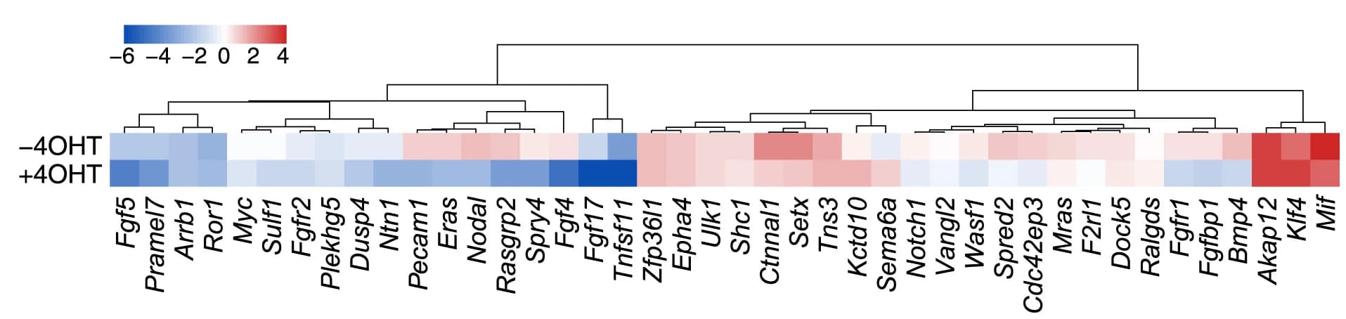 Open access visualization of Heatmap, Clustered, Lineage Markers, FGF/ERK Genes