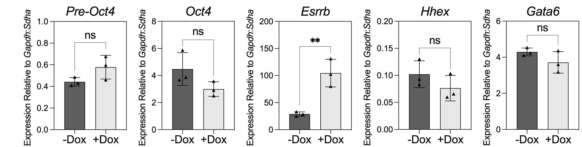 Open access visualization of Bar Plot, Error Bars, RT-qPCR, PDGFRA-APC+EKOiE Cells, Dox