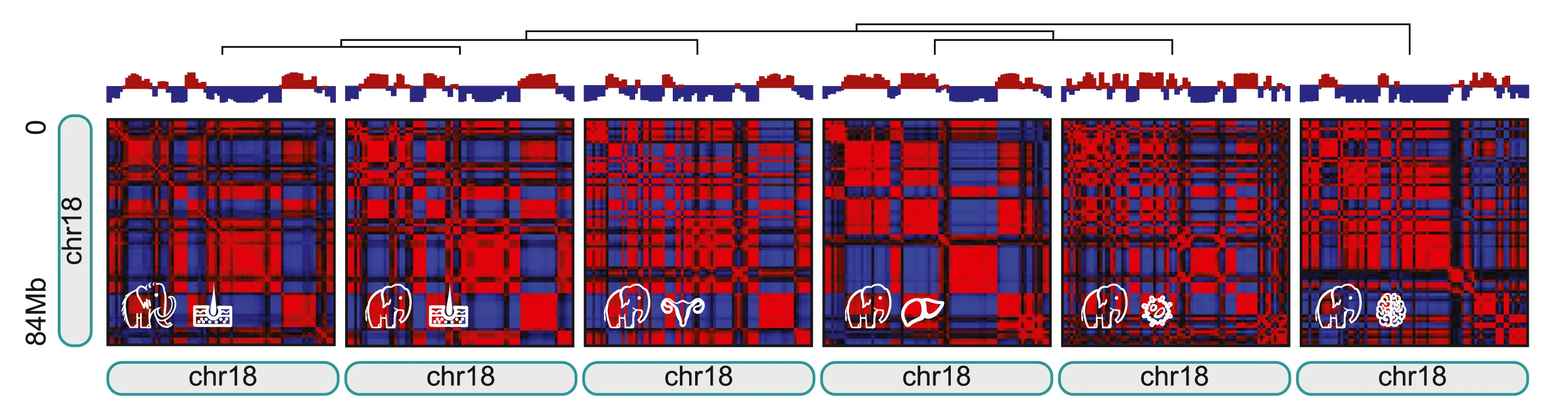 Open access visualization of Heatmap, Clustered, Bar Plot, Autocorrelation Matrices, Eigenvectors