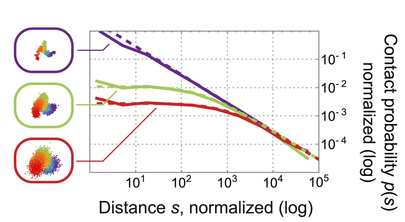 Open access visualization of Line Plot, Scatter Plot, Diffusion, Contact Data, Chromatin Conformation