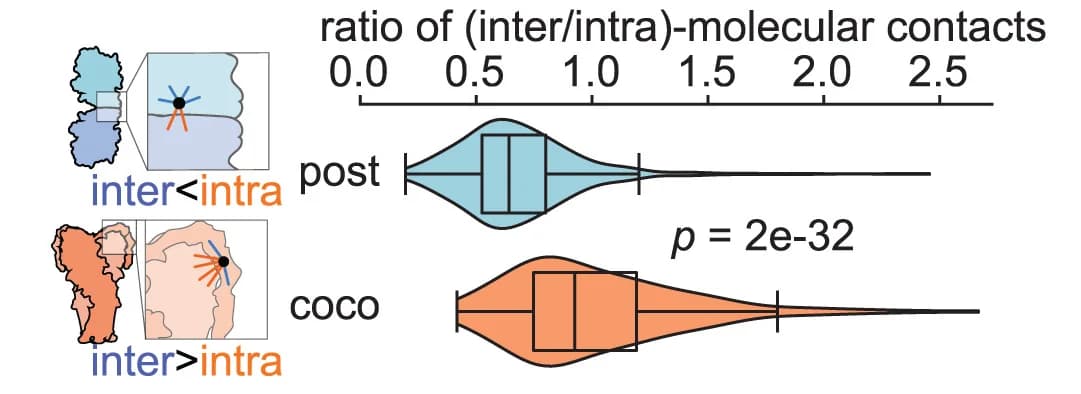 Open access visualization of Violin Plot, Box Plot, Inter-molecular Contacts, Intra-molecular Contacts, Interface Residues