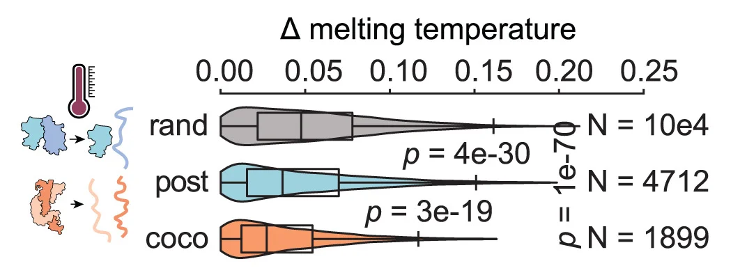 Open access visualization of Violin Plot, Box Plot, Melting Temperature, Heteromeric Complex, Heterodimers
