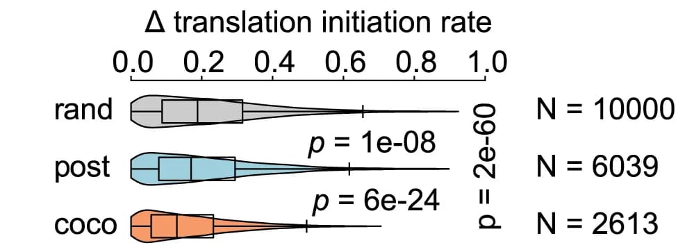 Open access visualization of Violin Plot, Box Plot, mRNA Translational Initiation Rate, Violin Plots, Heteromeric Pairs
