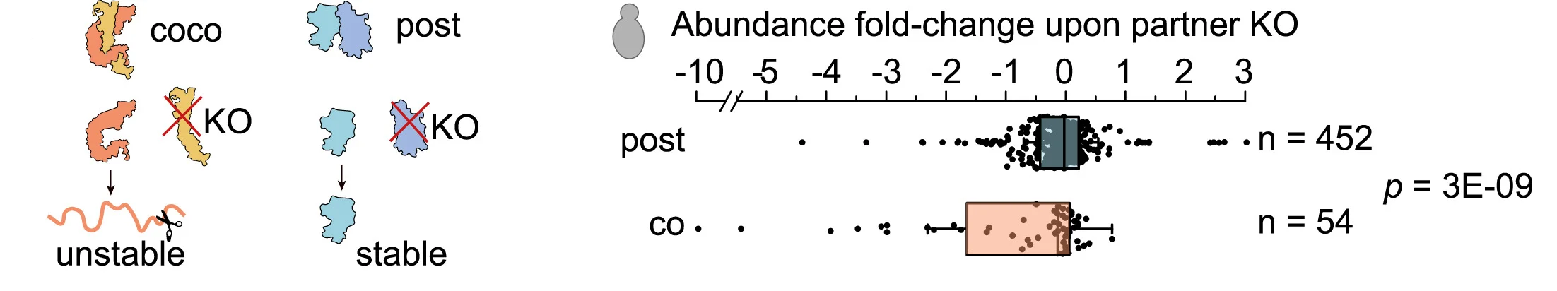 Open access visualization of Box Plot, Scatter Plot, Illustration, Knockout, Partner Stability