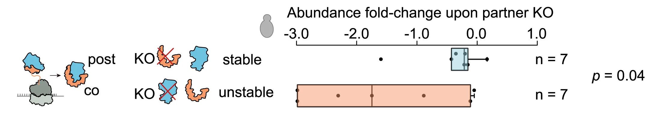 Open access visualization of Box Plot, Scatter Plot, Illustration, Co-translational Assembly, Post-translational Assembly