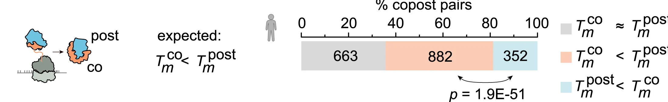 Open access visualization of Bar Plot, Stacked Bar Plot, Co-translational Assembly, Post-translational Assembly, Human