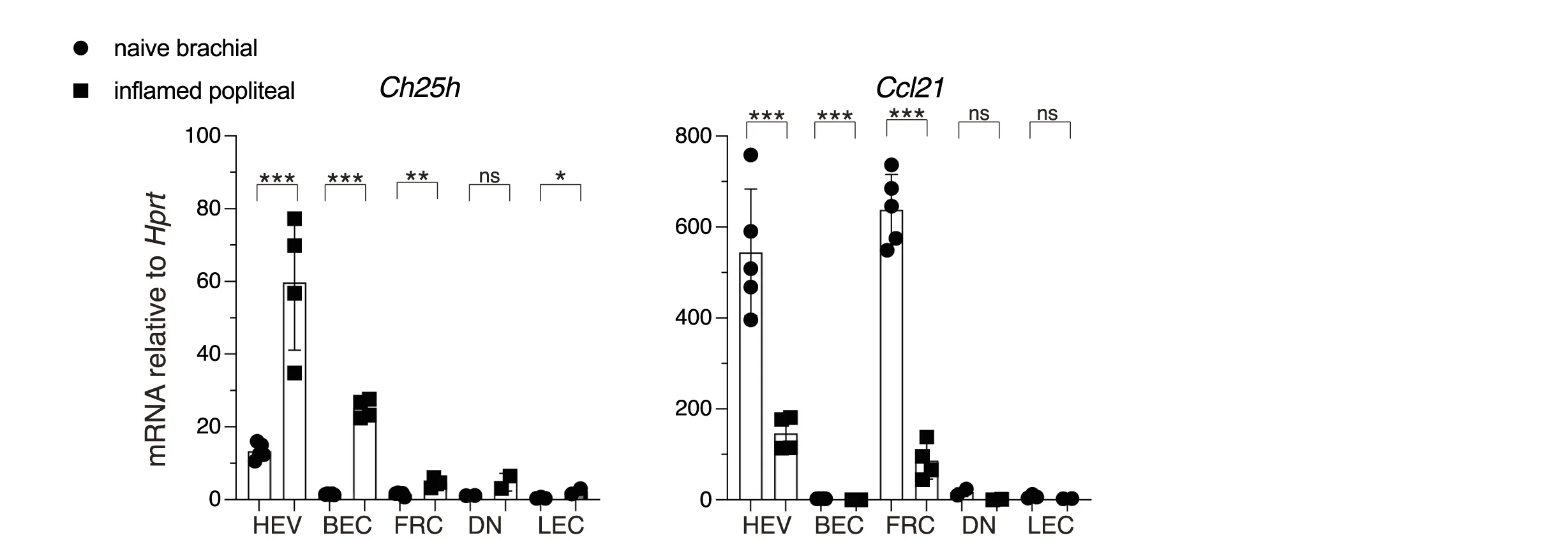 Open access visualization of Bar Plot, Error Bars, Scatter Plot, RT-qPCR, Ch25h
