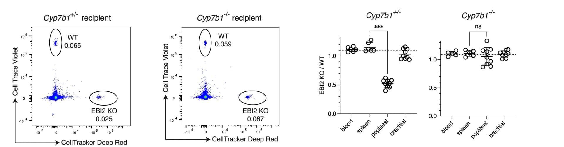 Open access visualization of Scatter Plot, Flow Cytometry, Cyp7b1 Mice, CTV Dye, DR Dye