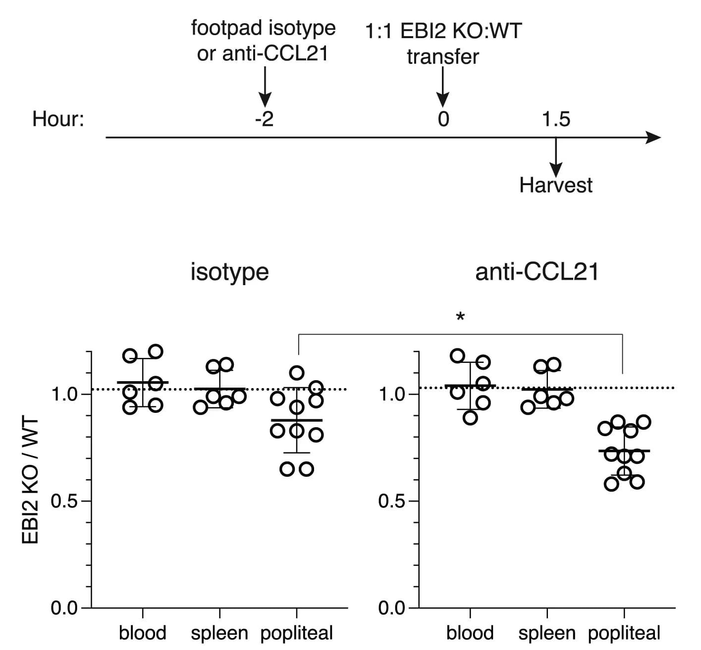 Open access visualization of Scatter Plot, Error Bars, EBI2 KO, WT B Cells, B Cell Ratios