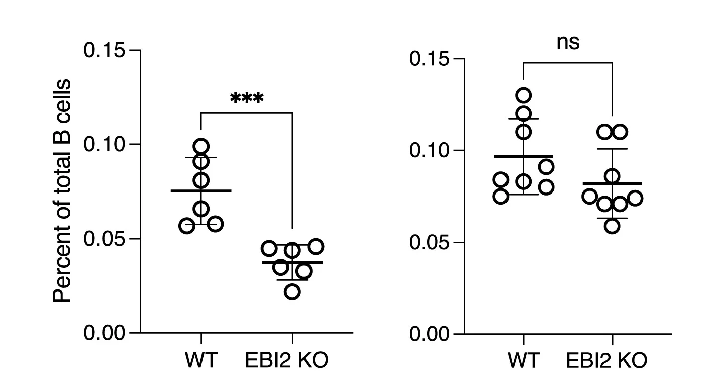 Open access visualization of Scatter Plot, B Cells, WT B Cells, EBI2 KO B Cells, pLNs