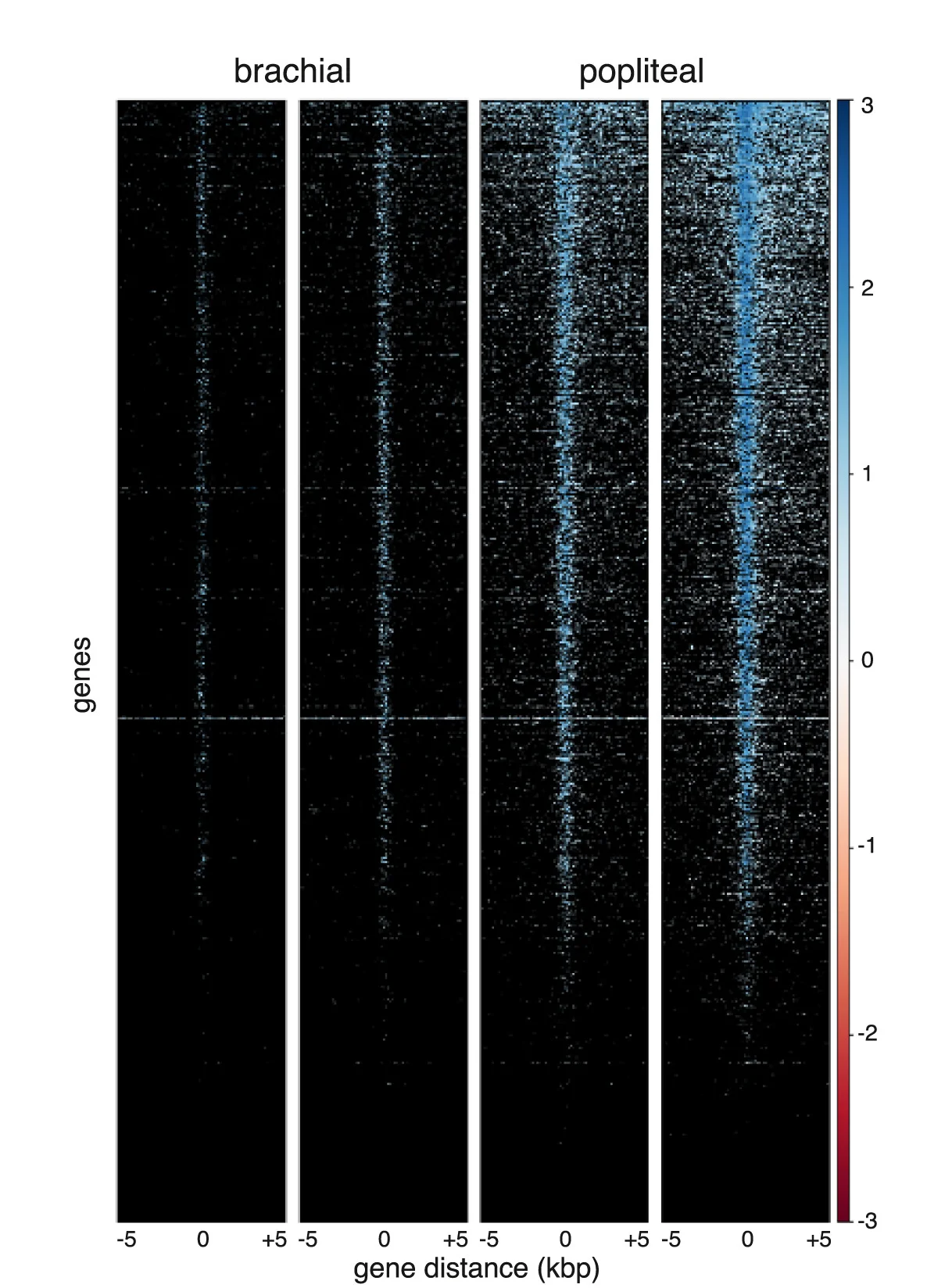 Open access visualization of Heatmap, ATAC-seq, Chromatin, Transcription Start Site, pLN
