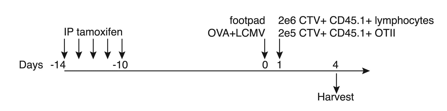 Open access visualization of Workflow, Experiment