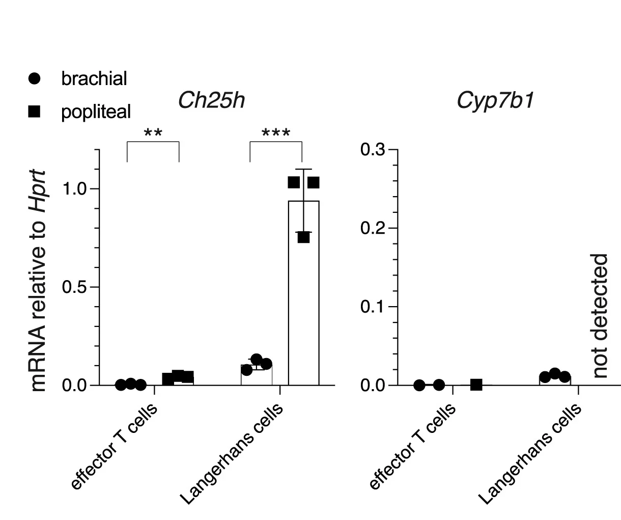 Open access visualization of Bar Plot, Error Bars, RT-qPCR, Ch25h, Cyp7b1