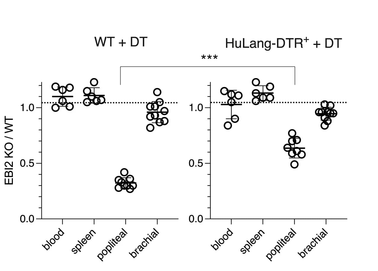 Open access visualization of Scatter Plot, Error Bars, B Cell, EBI2 KO, WT Ratios
