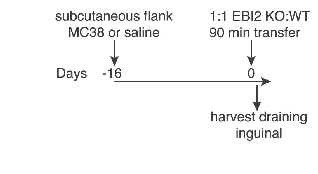 Open access visualization of Workflow, Flowchart, Experiment
