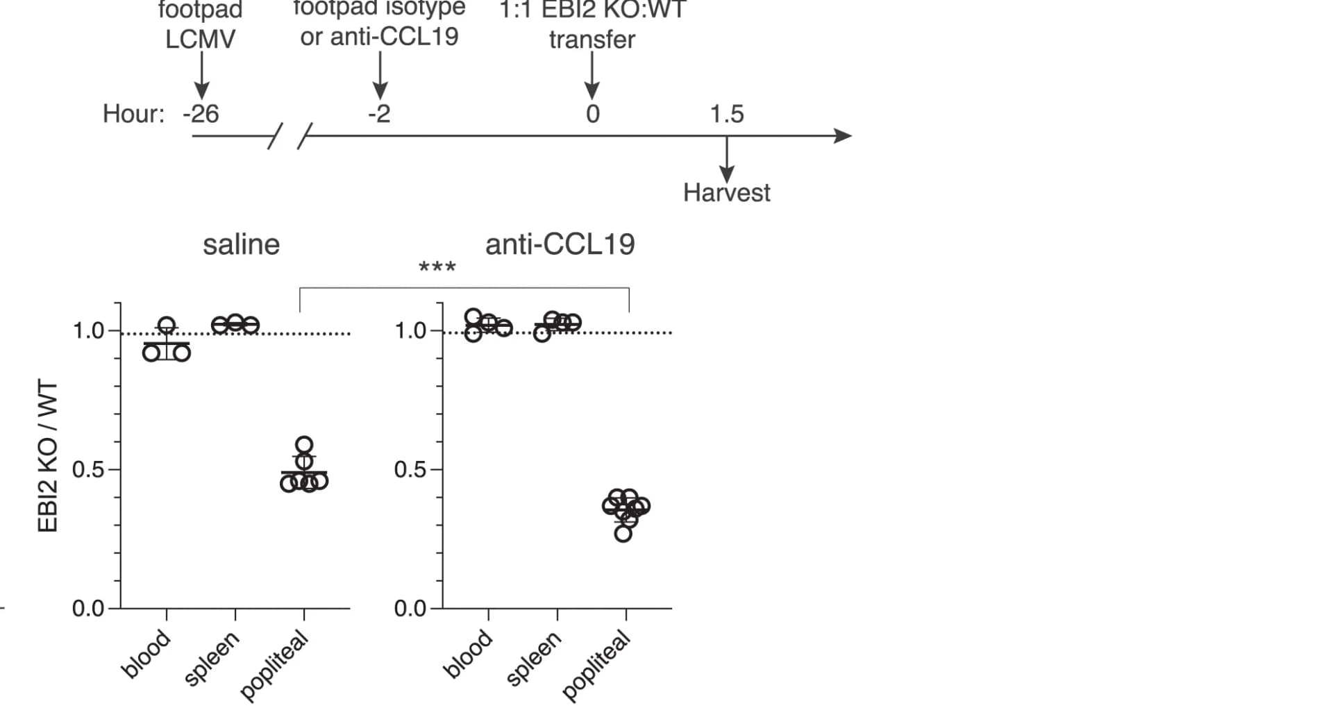 Open access visualization of Scatter Plot, Workflow, Experiment, EBI2 KO, B Cell Ratios
