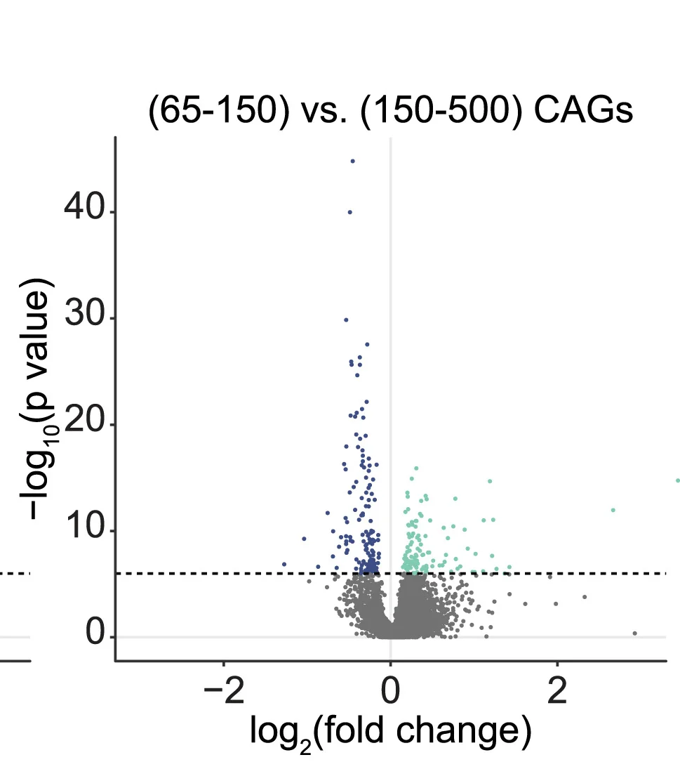 Open access visualization of Scatter Plot, Gene Expression, SPNs, Volcano Plots, CAG-repeat Length