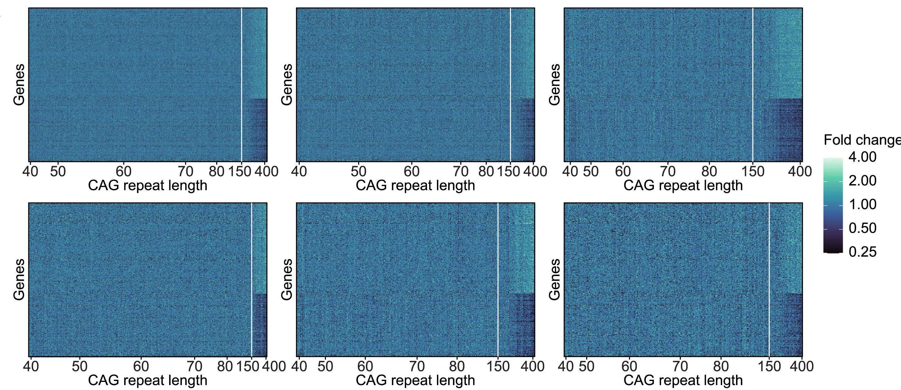 Open access visualization of Heatmap, Clustered, SPNs, HTTCAG Repeat, Gene Expression