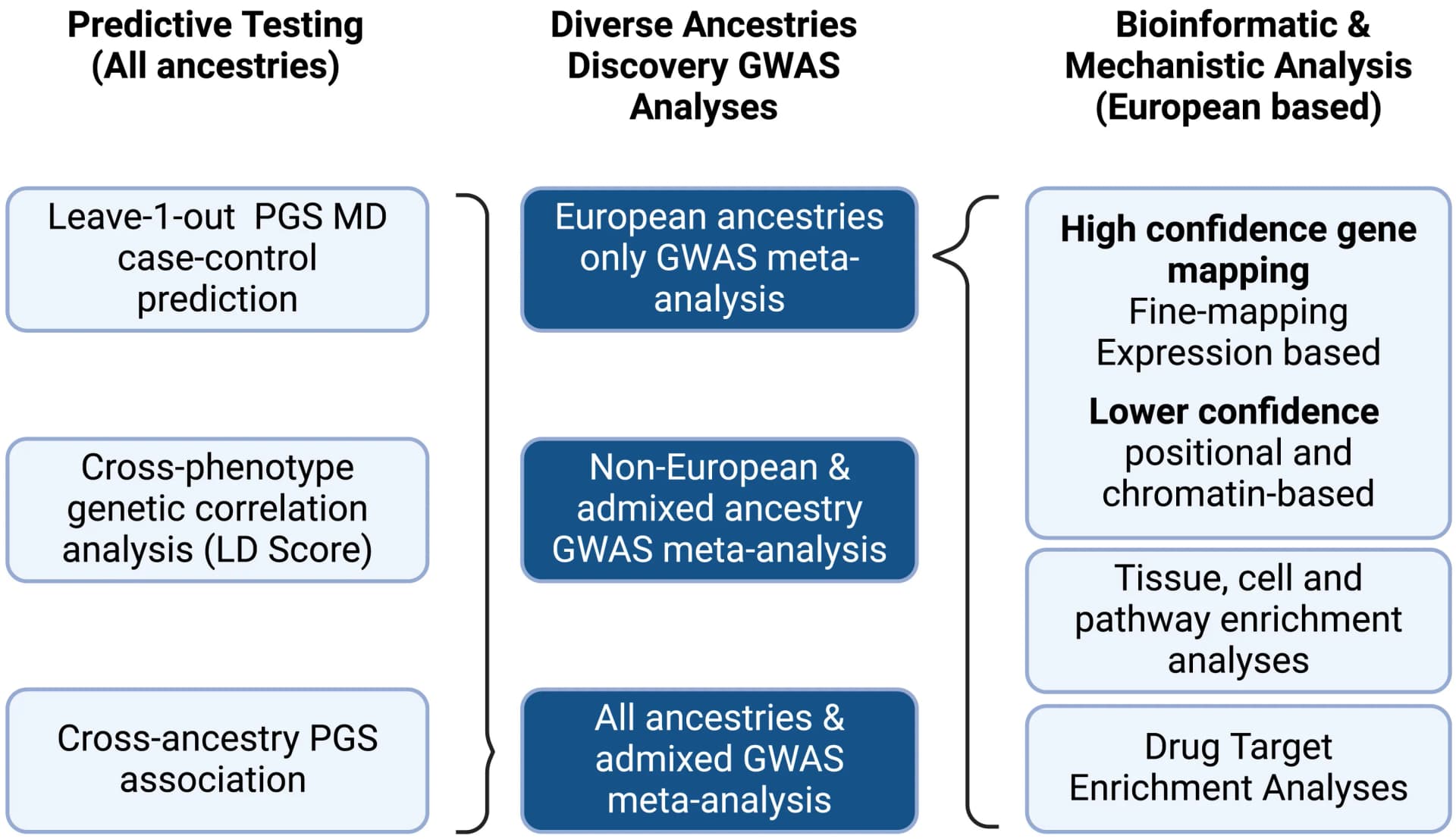 Open access visualization of Workflow, Flowchart, Meta-Analyses, Polygenic Risk Scores, GWAS Summary Statistics