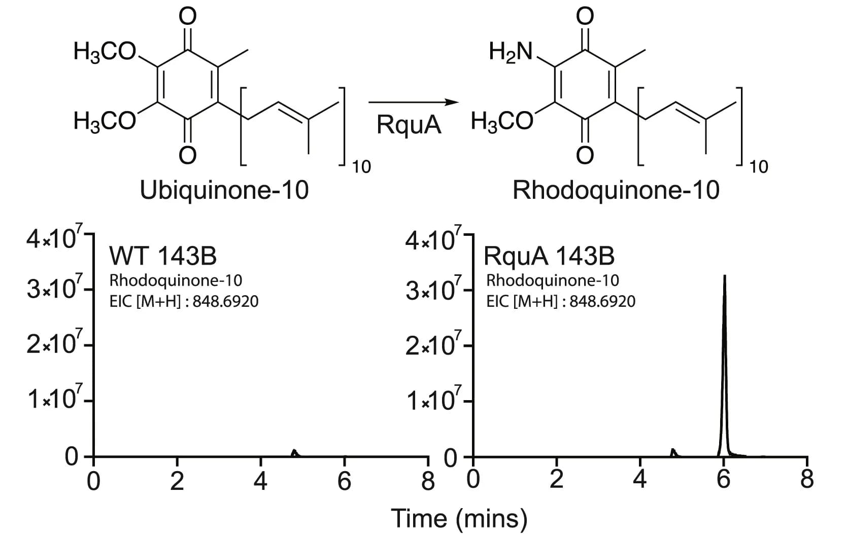 Open access visualization of Line Plot, Chemical Structure, RquA Reaction, LC-MS, Rhodoquinone-10