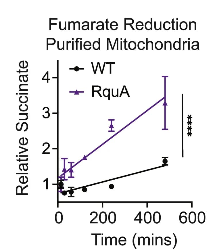 Open access visualization of Line Plot, Error Bars, Scatter Plot, Fumarate Reduction, Mitochondria