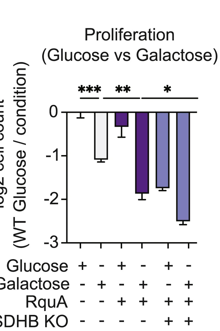 Open access visualization of Bar Plot, Error Bars, Cell Proliferation, Wild-Type Cells, RquA-expressing Cells