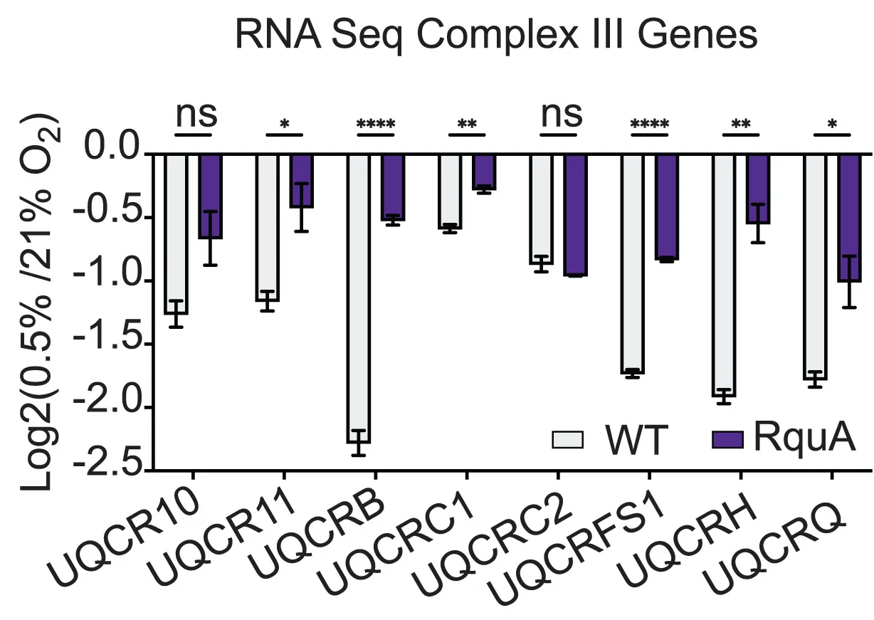 Open access visualization of Bar Plot, Clustered, Error Bars, Log2fold Change, RNA Sequencing