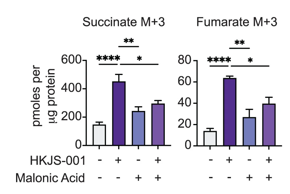 Open access visualization of Bar Plot, Error Bars, Clustered, Metabolomics, Mouse Liver