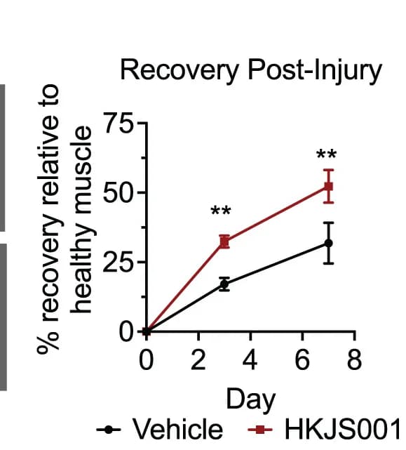 Open access visualization of Line Plot, Error Bars, Laser Doppler Imaging, Ischemia, Surgery