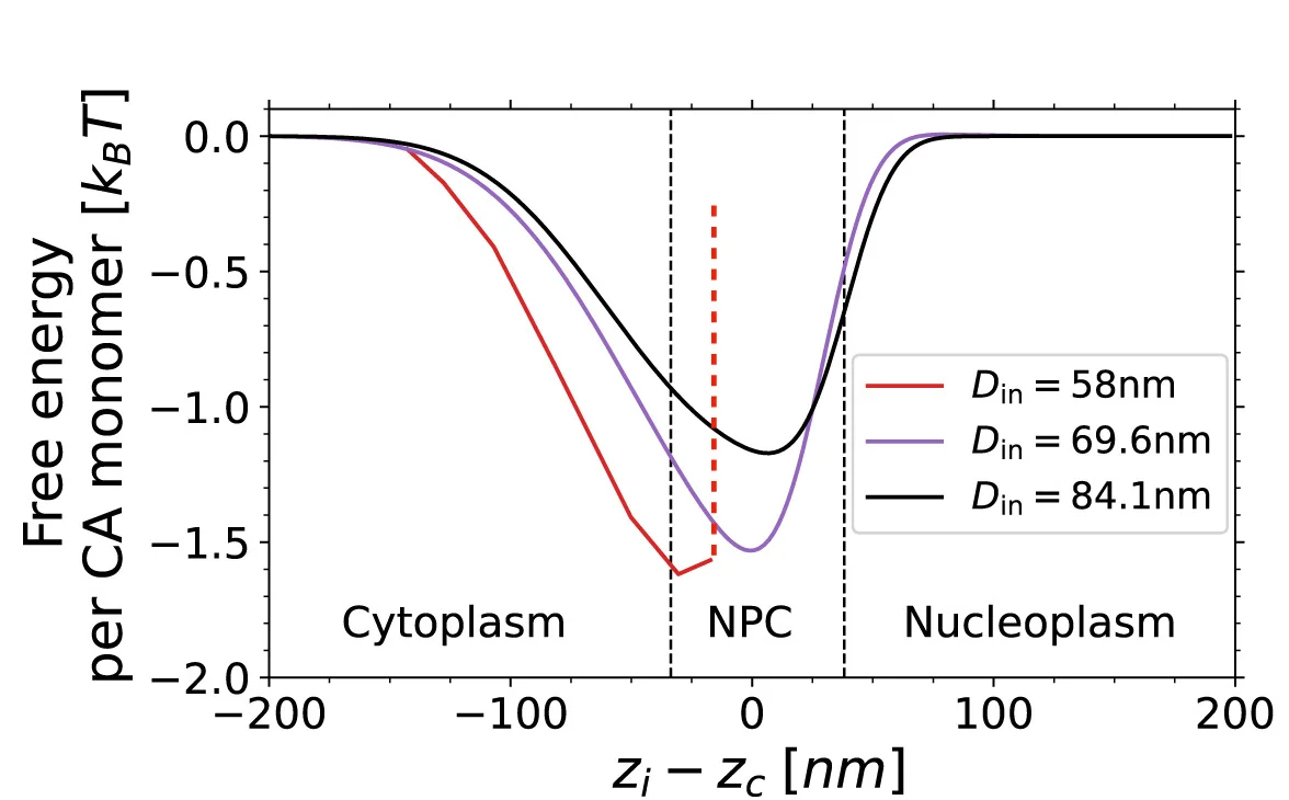 Open access visualization of Line Plot, Free Energy Profiles, HIV-1 Capsid, NPC, Vertical Distance
