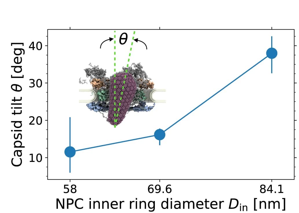 Open access visualization of Line Plot, Error Bars, Protein Structure, Tilt Angle, Capsids
