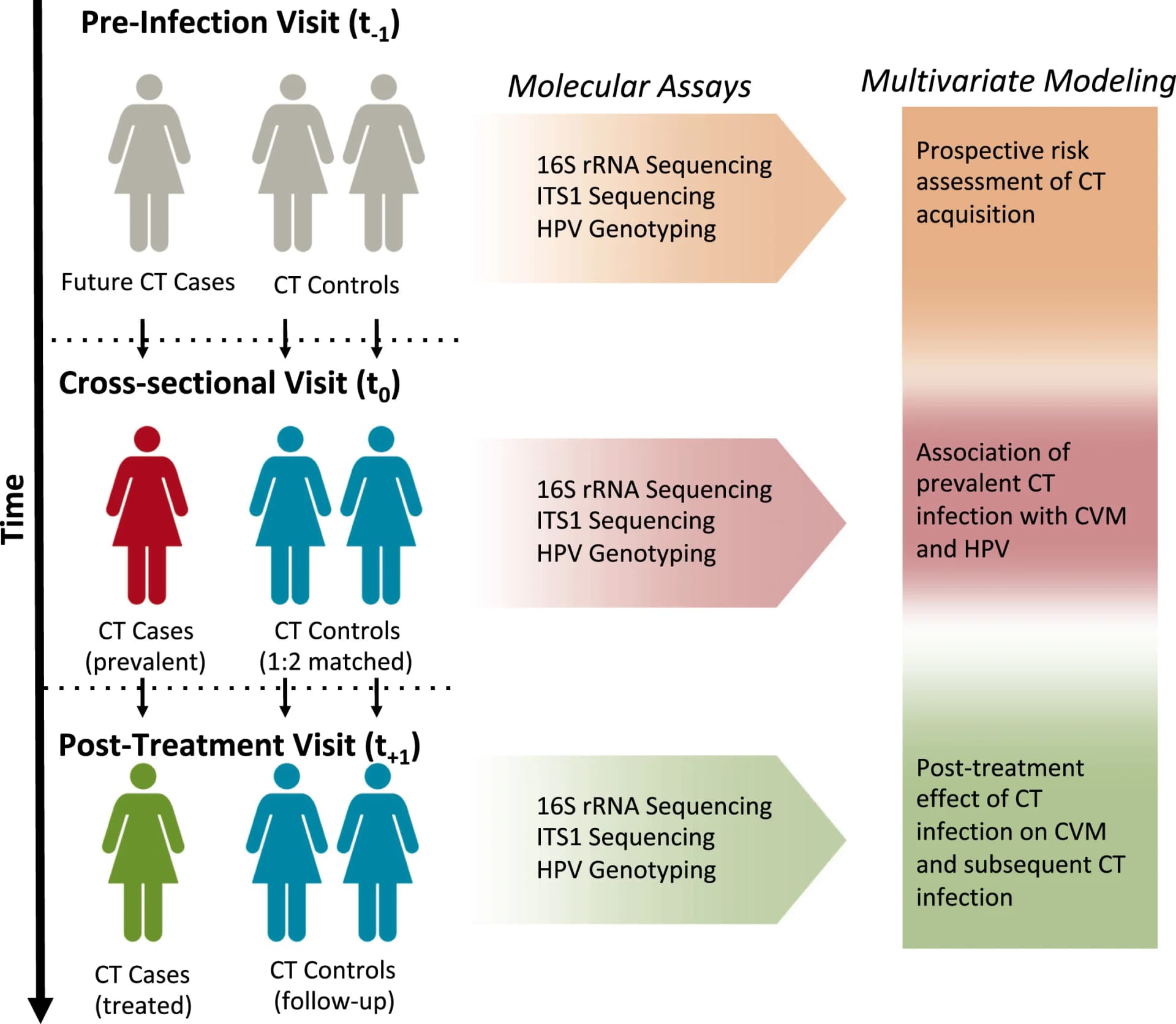Open access visualization of Workflow, Flowchart, CT Infection, Cervicovaginal Microbiome, HPV Genotyping