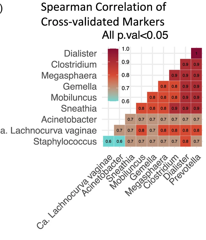 Open access visualization of Heatmap, Correlation Matrix, Bacterial Genera, CT Acquisition, Spearman Correlation