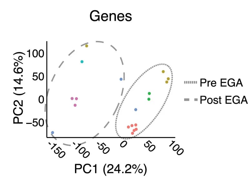 Open access visualization of Scatter Plot, PCA, Single Embryos, Genes, Rhesus