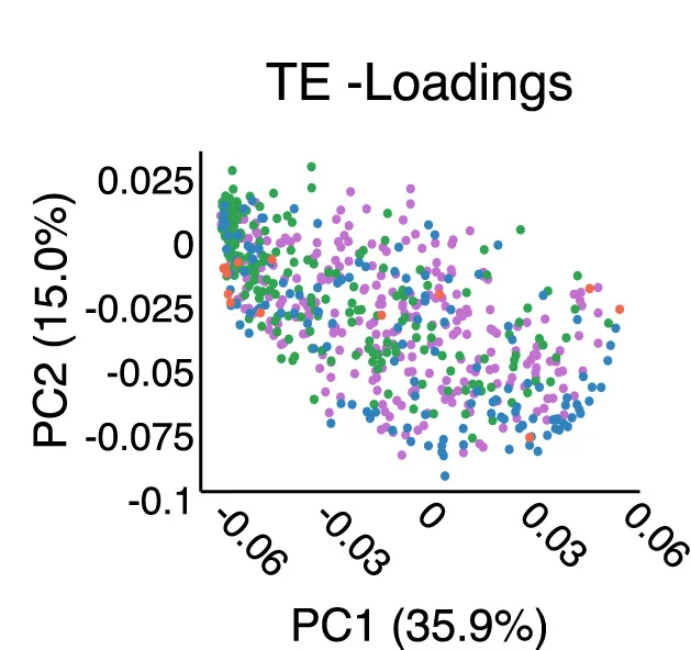 Open access visualization of Scatter Plot, PCA, PCA Projections, Pig, TE Families