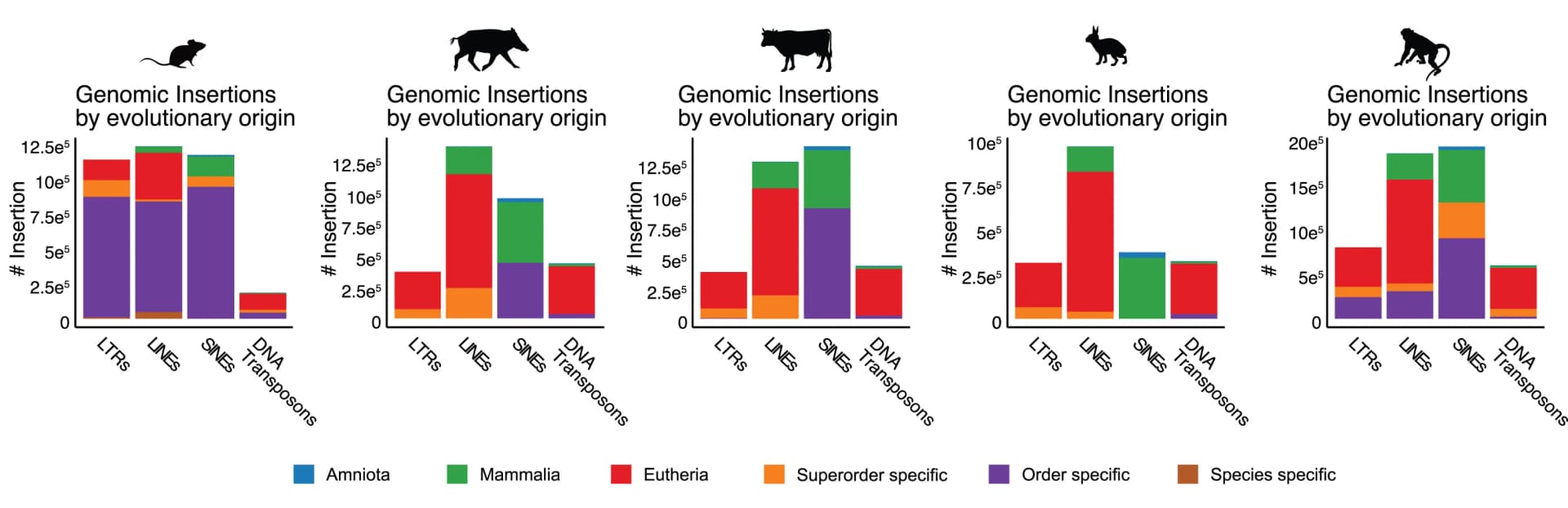 Open access visualization of Stacked Bar Plot, Genomic Insertions, Evolutionary Age