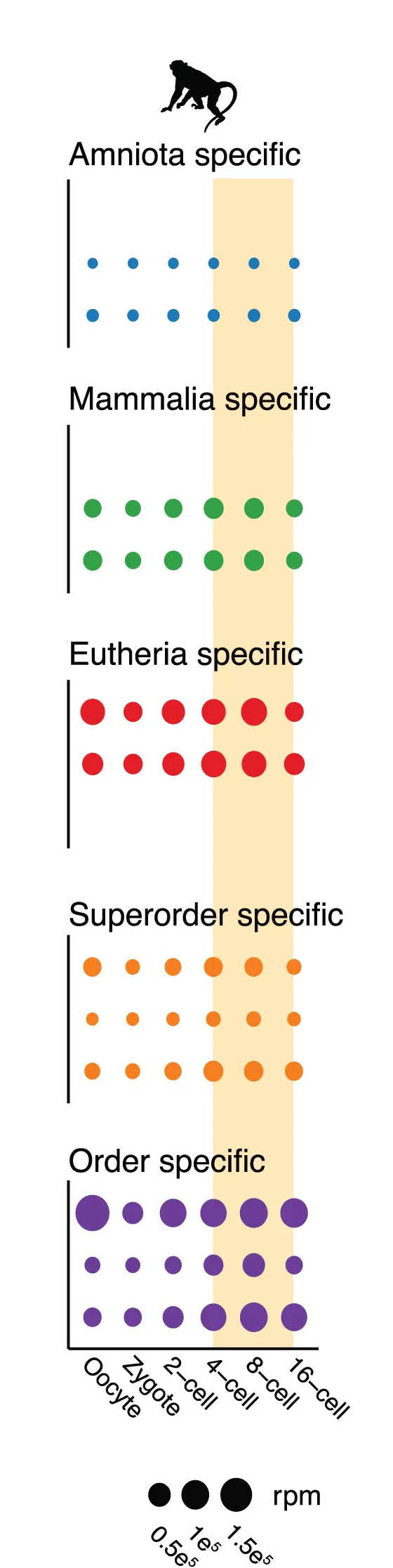 Open access visualization of Bubble Plot, Retrotransposons, Evolutionary Age, TE Families, Dfam Annotation