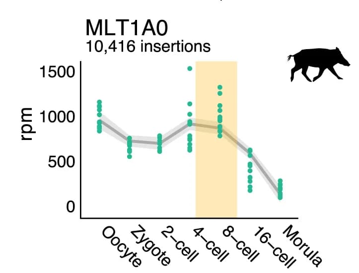 Open access visualization of Line Plot, Scatter Plot, Error Bars, Expression Levels, MLT1A0