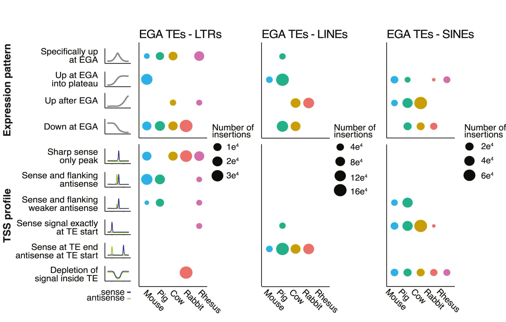 Open access visualization of Scatter Plot, Bubble Plot, Line Plot, EGA TEs, Expression Pattern