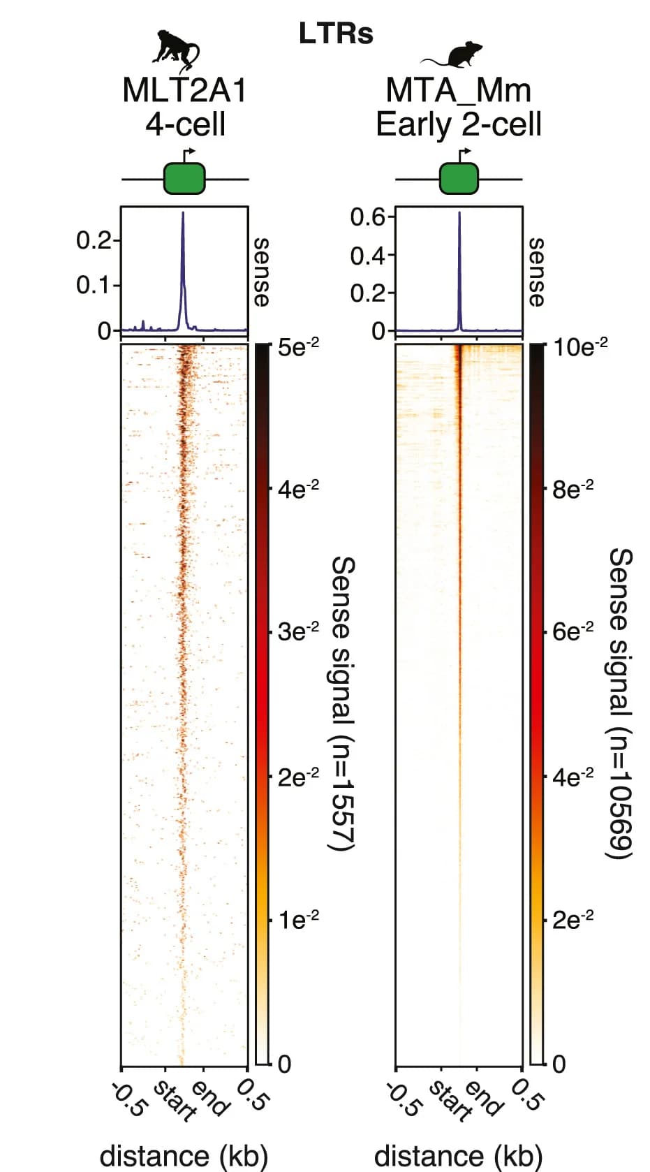 Open access visualization of Heatmap, Line Plot, TSS Patterns, LTRs, LINEs
