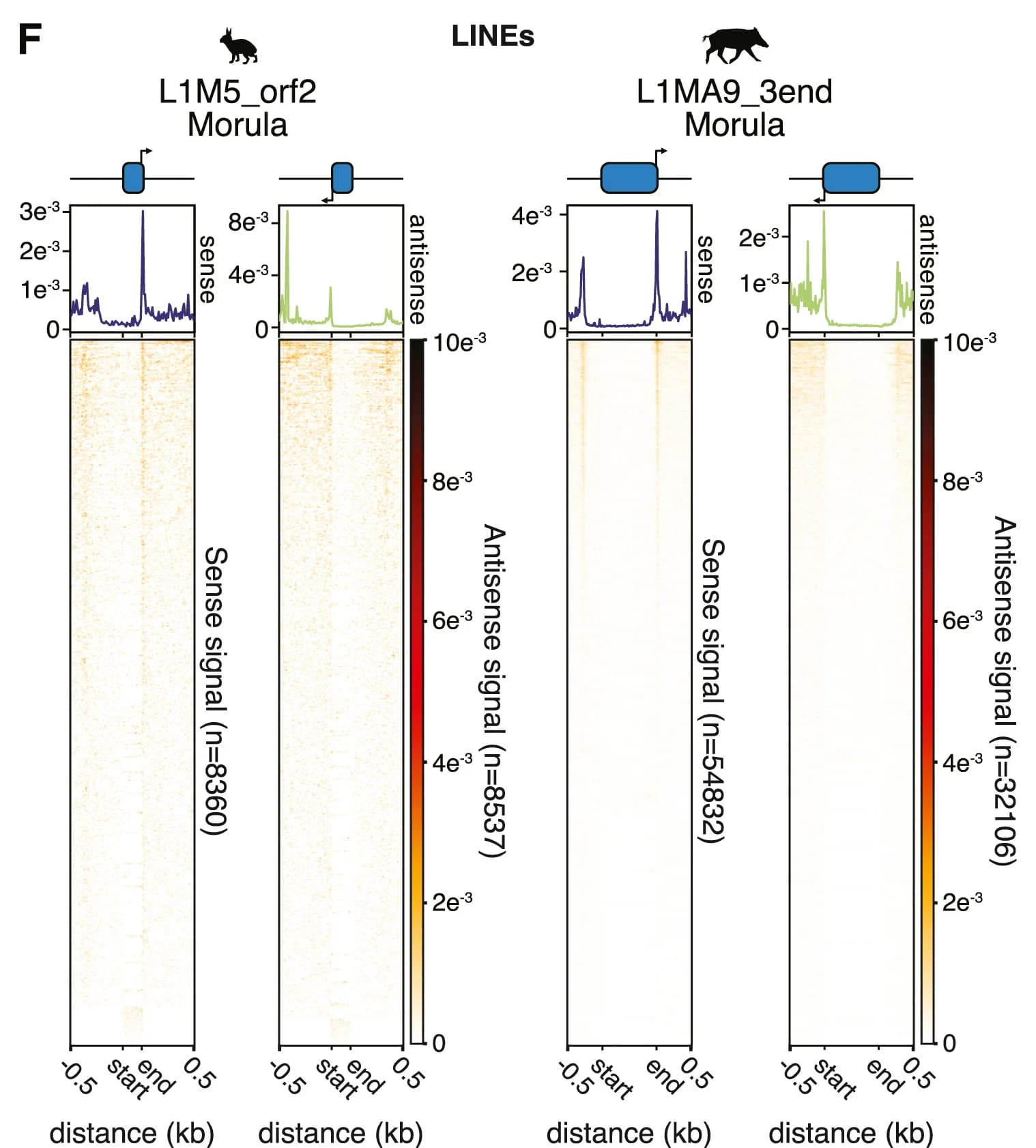 Open access visualization of Heatmap, Line Plot, TSS Patterns, LTRs, LINEs